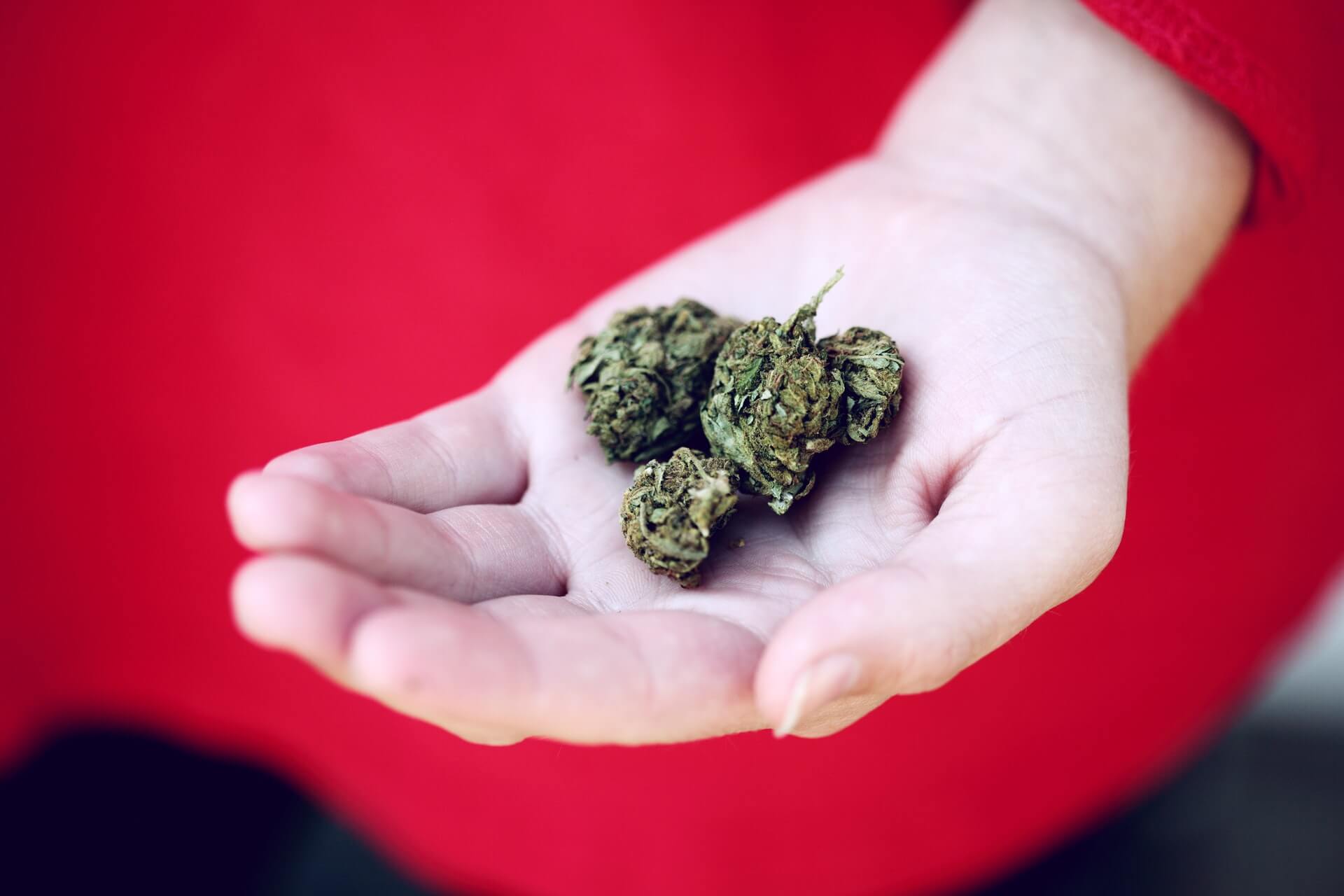 The Ultimate Guide on How To Get Weed Online